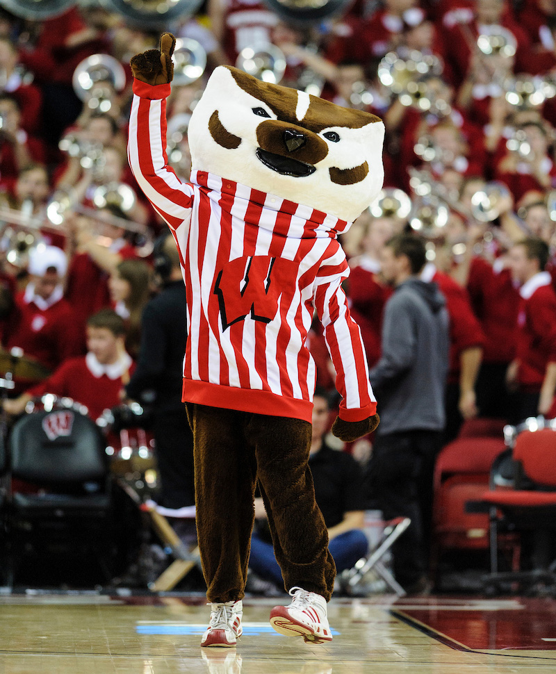Bucky Badger